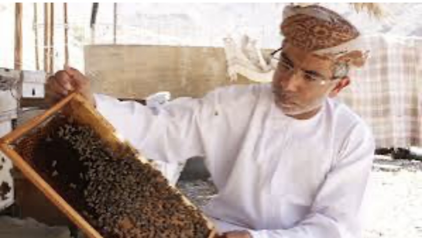 معرض النحل الدولي 