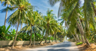 جهود سلطنة عمان في الحفاظ على البيئة