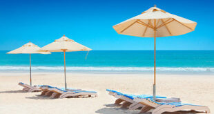 سحر الشواطئ في سلطنة عمان: 13 مكان مثالي للاسترخاء