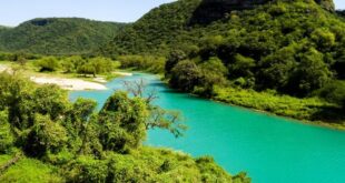 سحر مهرجان خريف صلالة: تجربة فريدة في حضن الطبيعة