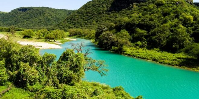 سحر مهرجان خريف صلالة: تجربة فريدة في حضن الطبيعة